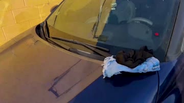 i dare you to run away with your friend’s clothes! [f]