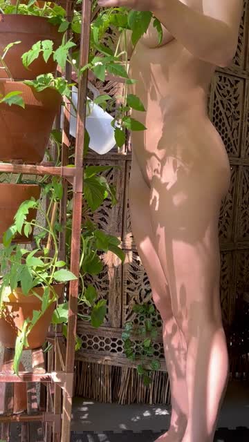 watering the vegetable garden