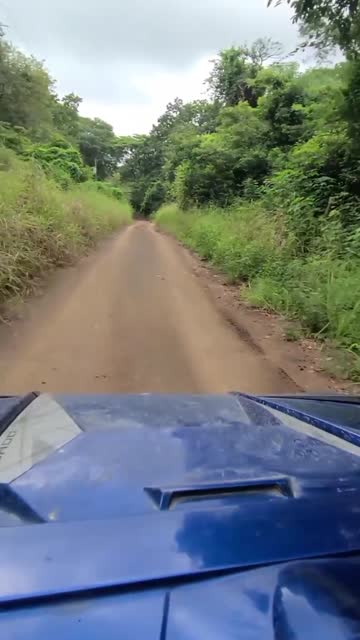 outdoor utv dildo ride while on the move = yes please