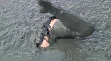 my favorite wam scene of all time. love the way her butt is sticking out of the mud.