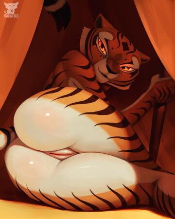 lovely master tigress ;3 (hacatiko) [f]