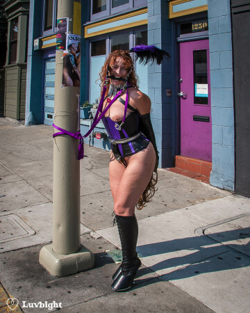streetlamps make good hitching posts for your ponies (folsom street fair, 2009)