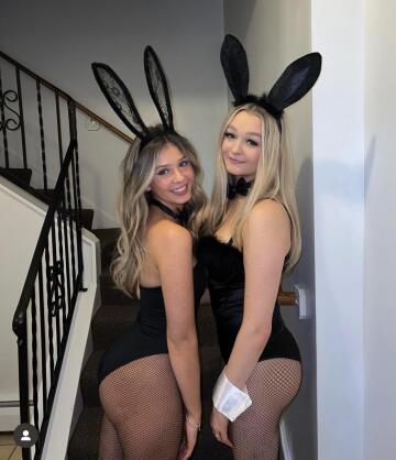 left or right bunny?