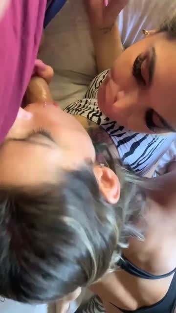 it’s so hot when you both suck cock at the same time