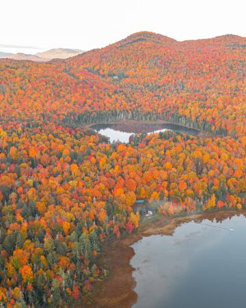 lake shore next to a large pond in the adirondack mountains, upstate new york.