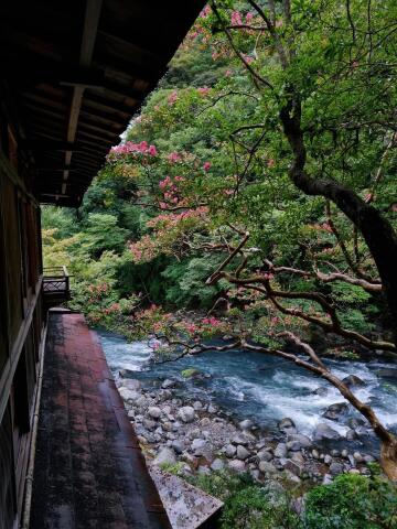 (oc) the view from outside my window in the mountainous onsen town of hakone, japan.