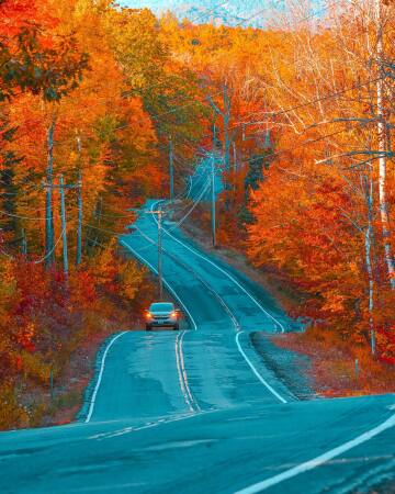 bumpy winding road through the autumn woods, new hampshire.