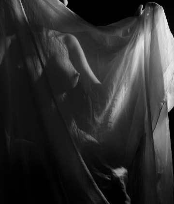 veiled by frankfx14