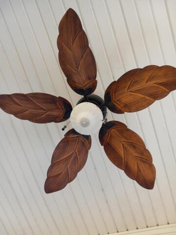 my girlfriends uncle had a pretty leaf fan