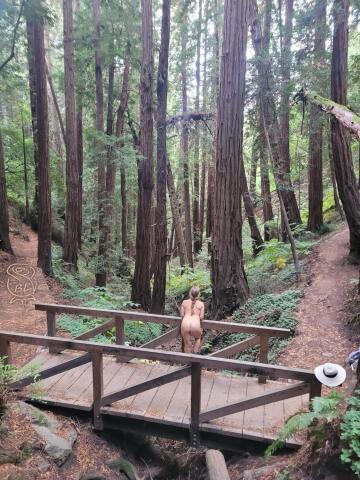 hiking the canopy view trail at muir woods