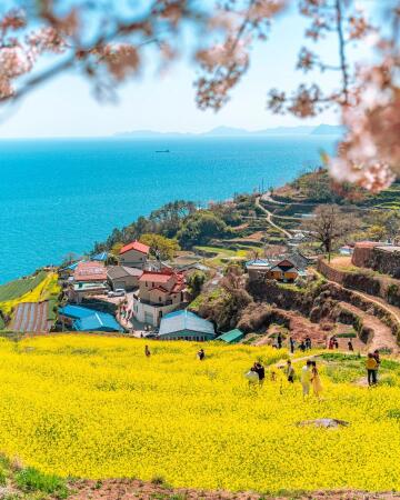 spring in the daraengi village overlooking the sea, namhae county, south gyeongsang province, south korea.