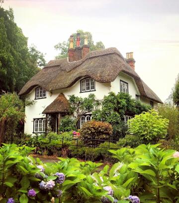 beehive cottage in the village of lyndhurst, new forest national park, hampshire, england.