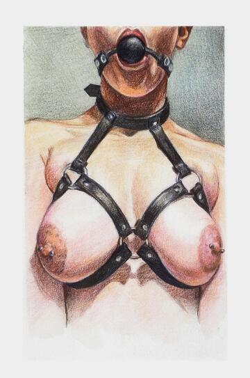 harness
