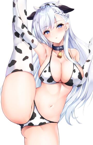 cow bikini belfast