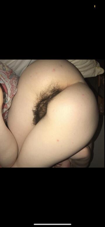 would you like to open up my hairy ass? 🤩