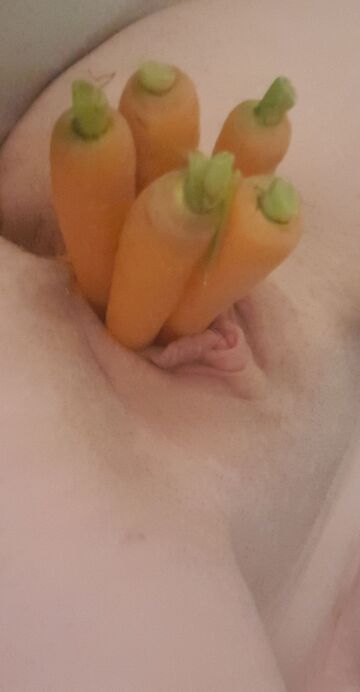 i was requested to fuck a carrot many times. i've finally done it and stretched my pussy out using 5 carrots 🥕 (f)