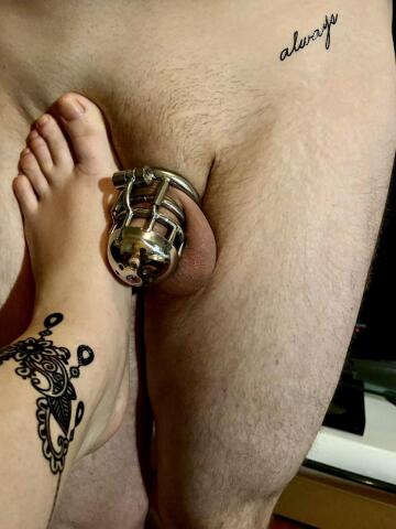 pa-chastity + tatt + feet = perfection