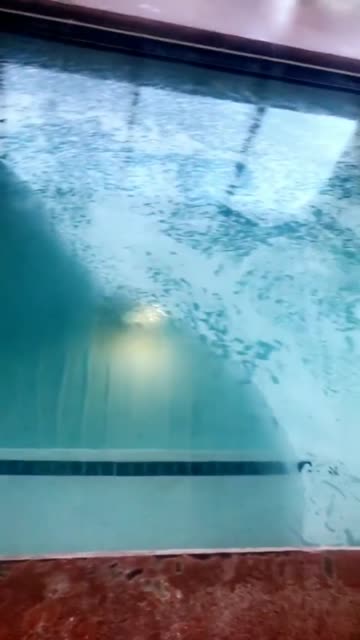 reverse elsa in a small pool