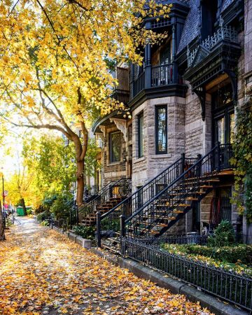 fall foliage in the streets of montreal, quebec, canada.