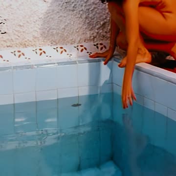 sônia braga- a dama do lotação (1978)