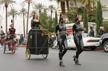 a queue of ponygirls waiting at the lights