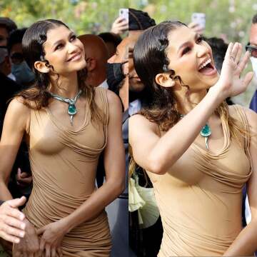 log 2021.66 - zendaya - 