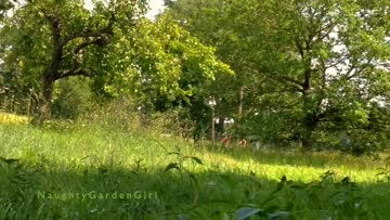 i was tanning.....next to the bike tracks.... naked....i was so aroused 🙊[gif][f]