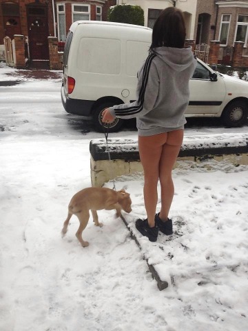 when the dog wants to go out, the dog wants to go out.