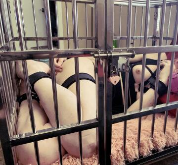 how long until i can come out and play?