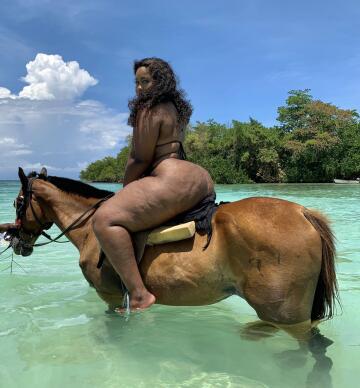 stallion riding a stallion