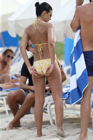 emmanuelle chriqui