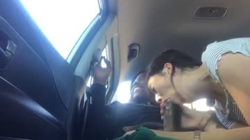 sucking that big fat cock on the backseat