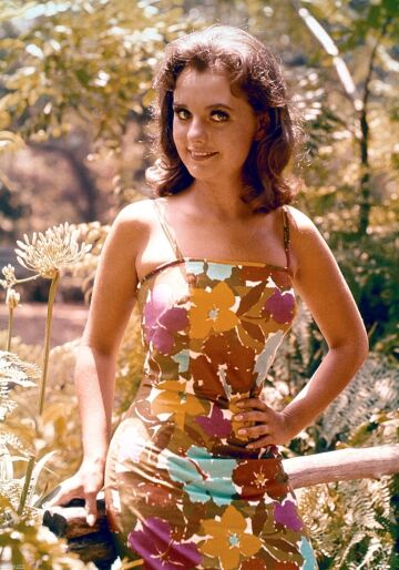 dawn wells