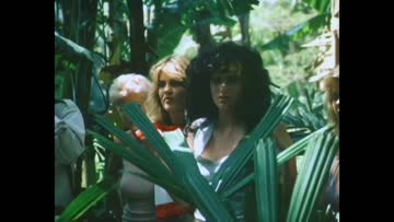 watching the natives