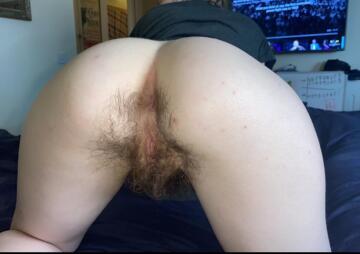 do you like my hairy ass?