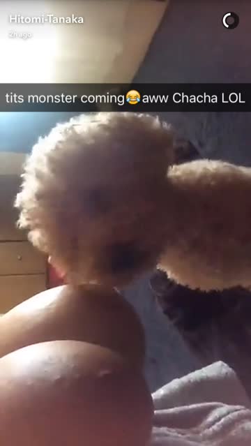 tits monster coming