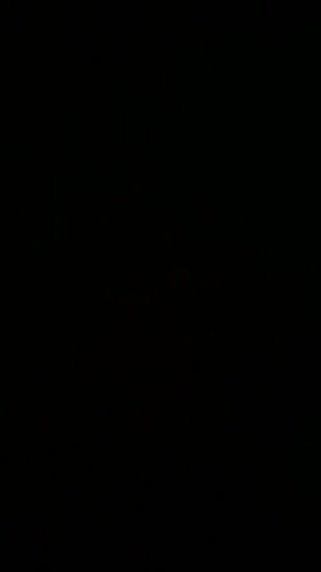 [f] sloth girl bids you good morn’