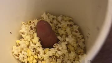[proof] stuck dick in a tab of popcorn and buttered it