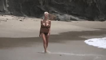 beach walker