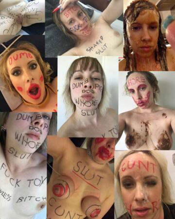 skye the well used webslut