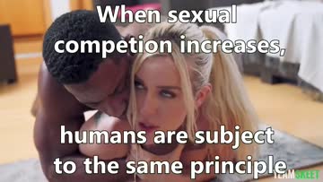 the bbc takeover vol 9