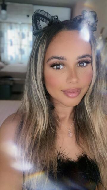 somali x dutch x italian 🐱🌈