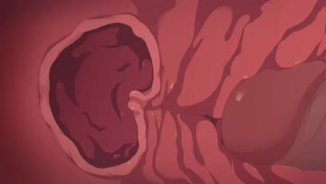 reward scene from quest (kamuo) [genshin impact]