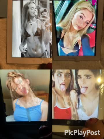 my tiktok tributes
