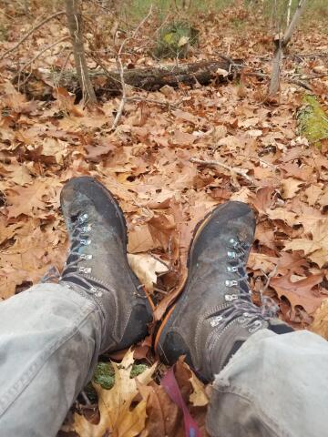 zamberlan baltoro lites: one new set of tread and over 2000 miles of hiking in the year i've owned them. should get another year out of them no problem. as a forester and a avid hiker i really put boots through hell and these have my stamp of approval.