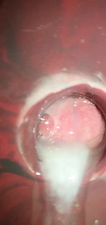 an internal view of me getting blown by duke's muzzle [m]