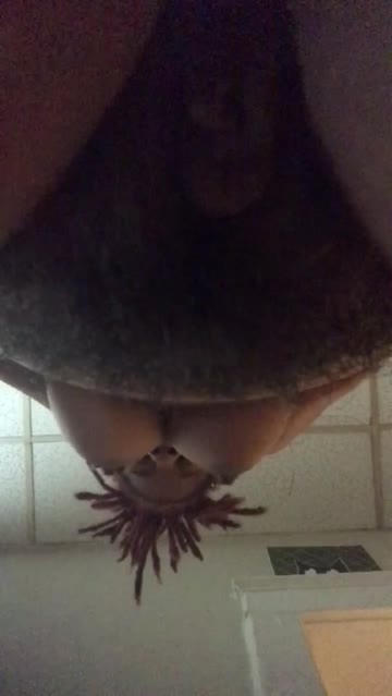 this view is good , you think so?