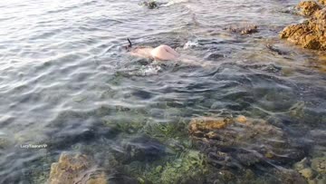 wanna have some fun in public with me?