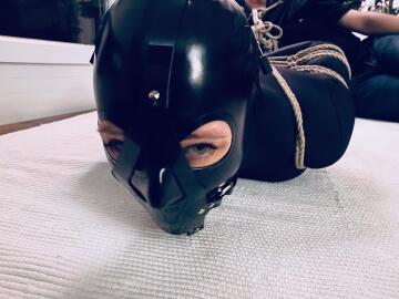 being hogtied with an anal hook and silenced with a mouth gag, this fuckdoll was the perfect entertainment for the guests 🙈☺️