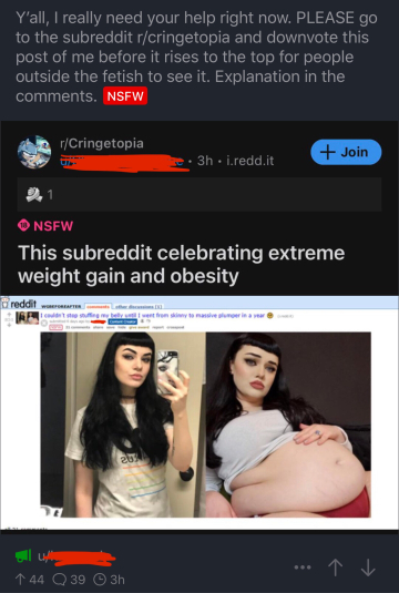 gaining goth gf has been forced off reddit after being doxxed by r/cringetopia